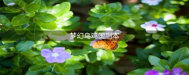 梦幻西游乌鸡国副本通关攻略
