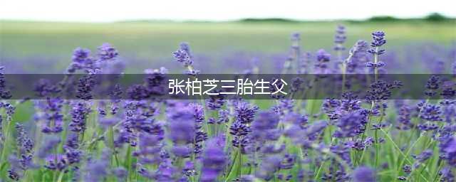 张柏芝三胎生父揭晓：谢霆锋被疑云笼罩，亲子鉴定结果疑似曝光(张柏芝三胎生父)