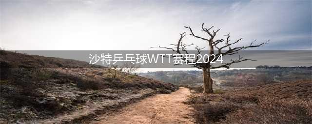 WTT沙特大满贯赛程出炉！奖金、积分和国乒参赛名单一览(沙特乒乓球WTT赛程2024)