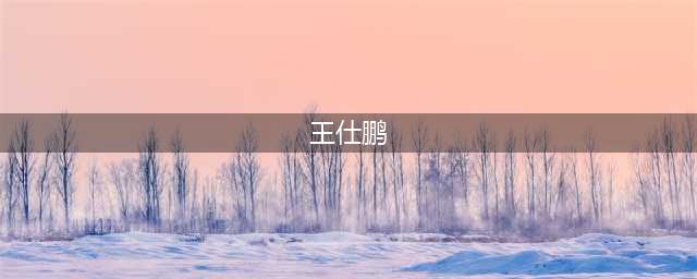 董瀚麟质疑，为何没给王仕鹏办退役仪式？大鹏摊牌，周鹏看懂了(王仕鹏)