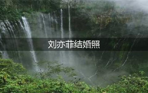 传刘亦菲秘密结婚！婚纱照疑曝光，新郎不是胡歌，网友：骗鬼呢(刘亦菲结婚照)