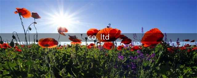 “Co., Ltd.”是啥意思？点和逗号到底能不能省略？(co. ltd)