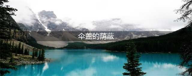原神伞盖的荫蔽怎么开 伞盖的荫蔽解密攻略