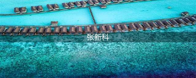 ​张新科谈新作《大河》：用“山河小说”实现红色经典的再造(张新科)