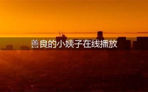 善良的小姨子一段感人至深的亲情故事(善良的小姨子在线播放)