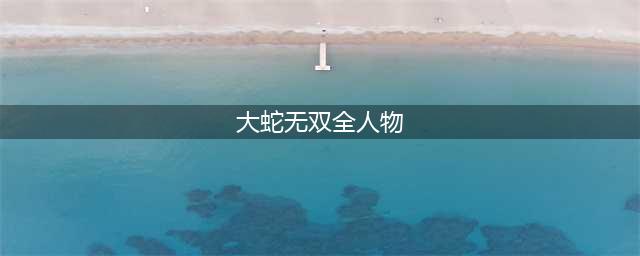 《无双大蛇3》全人物图鉴介绍 都有哪些人物(大蛇无双全人物)
