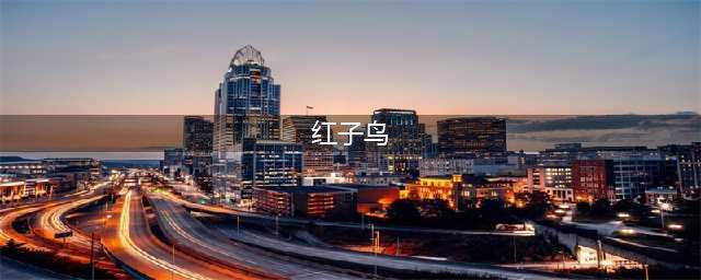 红子鸟与贝子鸟的区别在哪？(红子鸟)