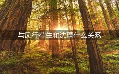 《与凤行》苻生的主人是谁？苻生和沈璃什么关系？(与凤行苻生和沈璃什么关系)
