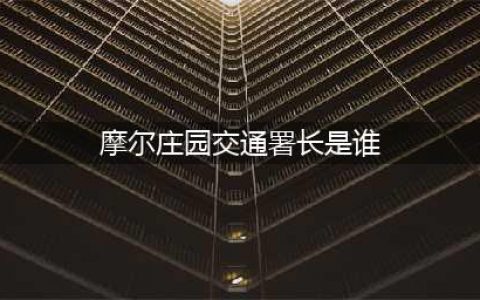 摩尔庄园交通署考试答案大全 摩尔庄园交通署考试答案是什么(摩尔庄园交通署长是谁)