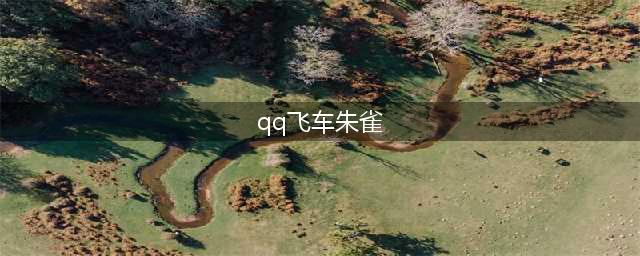 QQ飞车朱雀亲子宠物技能是什么 qq飞车朱雀亲子宠物资质介绍(qq飞车朱雀)