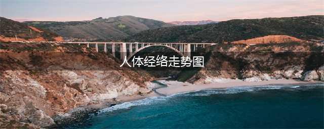 十二经络动态走向图，必须收藏！！(人体经络走势图)