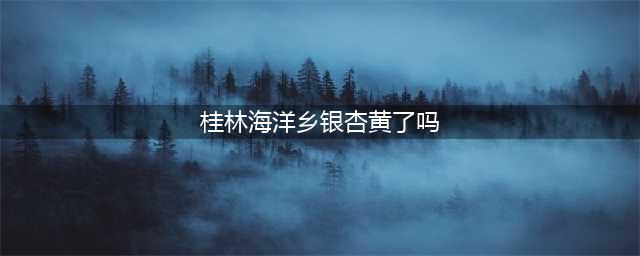 桂林海洋乡的银杏黄了！(桂林海洋乡银杏黄了吗)