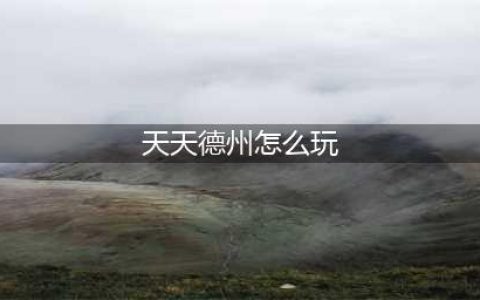 天天德州怎么玩 新手攻略(天天德州怎么玩)
