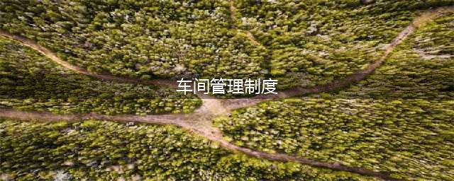 生产车间管理制度(车间管理制度)