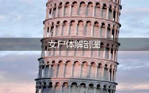 【重口味图解】解剖无名女尸，发现肚里藏着300年前的女巫！(女尸体解剖图)