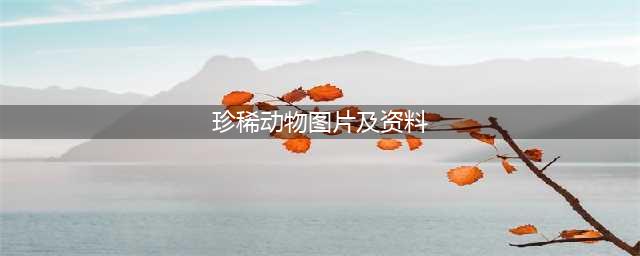 科普课堂|全球十大珍稀动物(珍稀动物图片及资料)