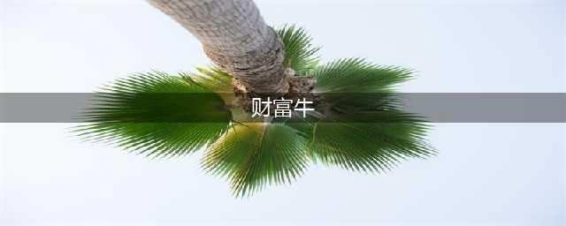 创鑫财富牛2号人民币理财产品开放期及净值公告(财富牛)