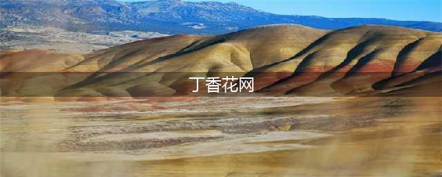 色情网站“丁香”覆灭记，千万用户7.3亿浏览量，是谁在操控？(丁香花网)