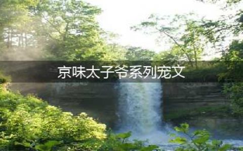 5本男主是太子爷系列京味宠文，《京洛再无佳人》强推，值得收藏(京味太子爷系列宠文)
