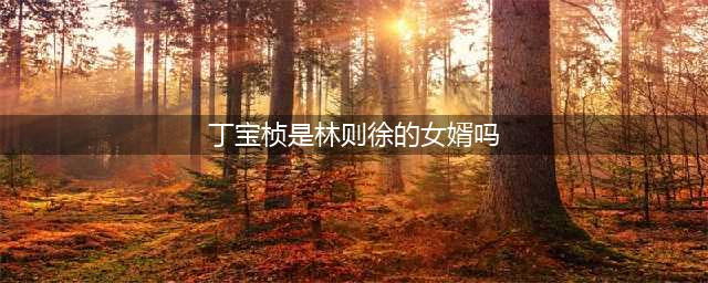 《丁宝桢》丁宝桢是林则徐的女婿吗？(丁宝桢是林则徐的女婿吗)