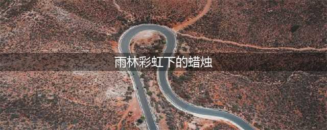 光遇雨林彩虹下的大蜡烛位置介绍