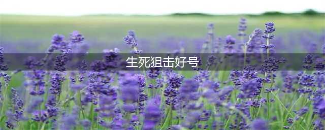《生死狙击》真的好号和密码大全 土豪好号密码没人(生死狙击好号)