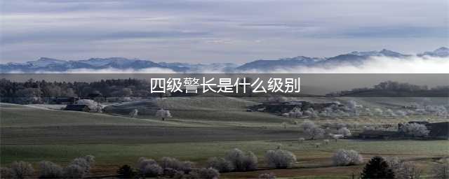 最全图解:人民警察职务职级、警务技术职务及警衔晋升一览表(四级警长是什么级别)