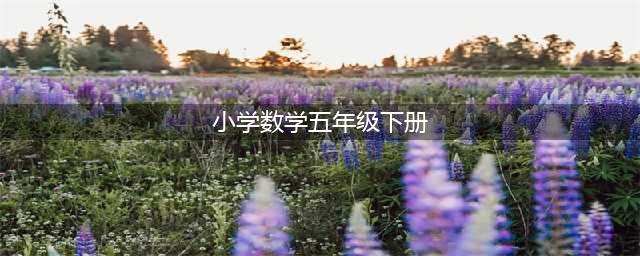 人教版五年级（下册）数学电子课本（最新高清版）(小学数学五年级下册)