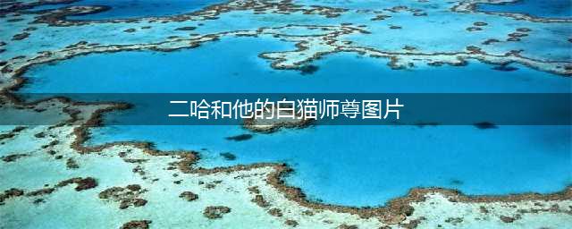 《二哈和他的白猫师尊》唯美古风壁纸(二哈和他的白猫师尊图片)
