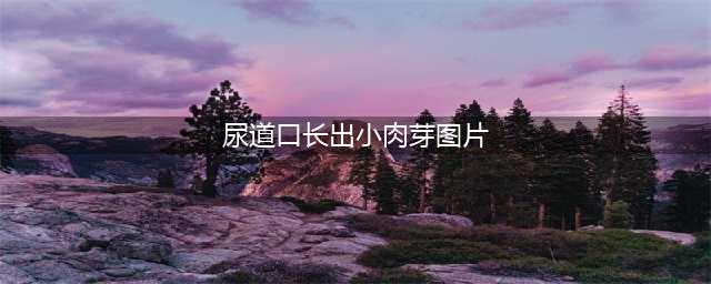 女性尿道口出现一堆肉芽像柚子粒像极了尖锐湿疣(尿道口长出小肉芽图片)