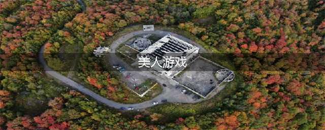 2022美人游戏安卓版下载 美人手机游戏排行榜(美人游戏)