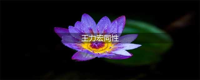 "王力宏的恋情,探讨同性恋与不透风的墙"(王力宏同性)