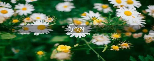 《绝地求生》好汉杯比赛赛制 好汉杯比赛时间(好汉杯)