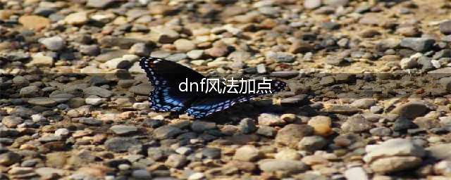 《DNF》风法怎么加点 风法推图加点方案分享(dnf风法加点)