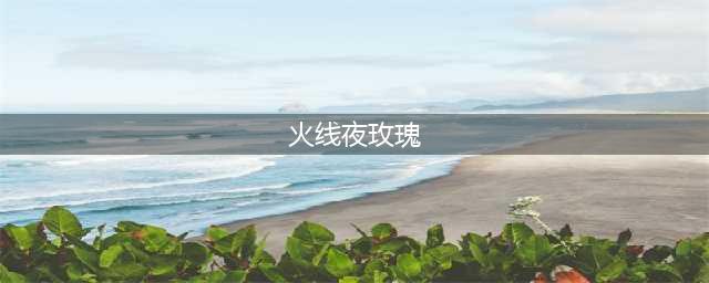 新夜玫瑰属性是什么(火线夜玫瑰)