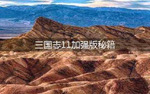三国志11威力加强版秘籍 火攻技巧(三国志11加强版秘籍)
