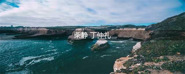 怒喷柴静！丁仲礼戳破资本骗局，道出底层人民艰辛(柴静 丁仲礼)