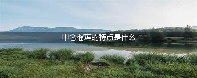 八大榴莲品种，金枕、猫山王、甲仑、干尧、青尼，快来了解(甲仑榴莲的特点是什么)