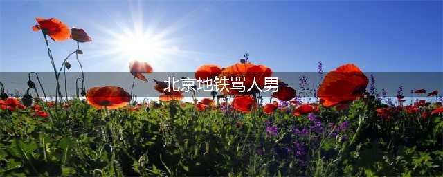 北京地铁骂人男：全世界欠你爸一个避孕套(北京地铁骂人男)