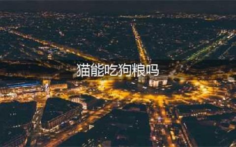 猫咪可以吃狗粮吗？看完这篇你就明白了(猫能吃狗粮吗)