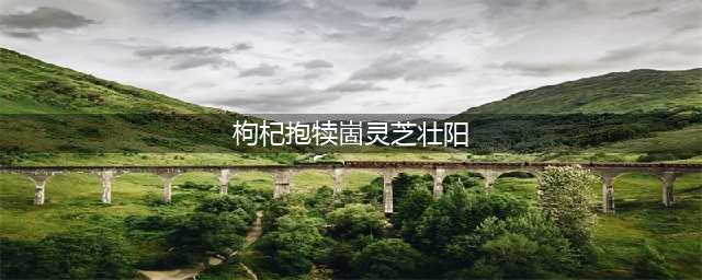 枸杞子灵芝红茶补肾壮阳 平时我们应该怎么吃(枸杞抱犊崮灵芝壮阳)