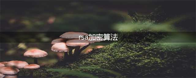 快速云：RSA加密算法的有效实现及在云计算中的应用(rsa加密算法)