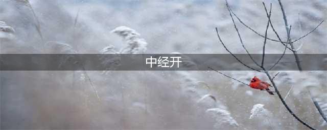十年赌四命，资本权贵的倒塌——中经开的灭亡(中经开)