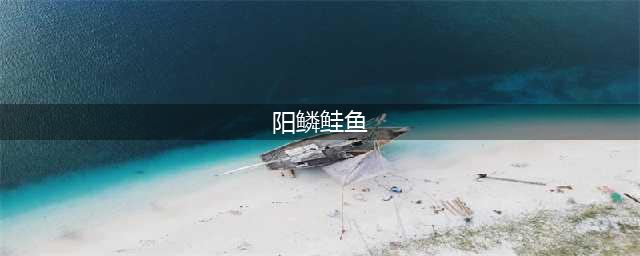 《魔兽世界怀旧服》水煮阳鳞鲑鱼食谱怎么获得 食谱获得方法分享