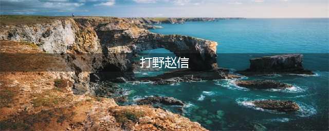 英雄联盟11.20赵信打野怎么玩 打野赵信详细玩法(打野赵信)