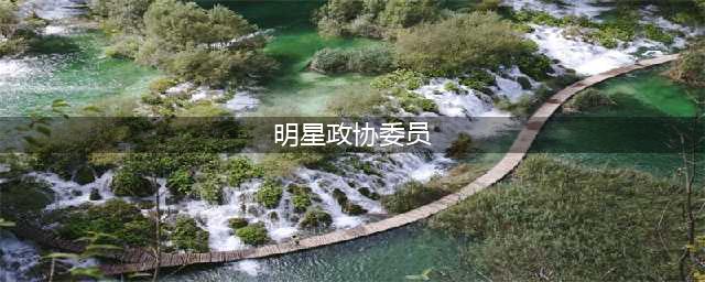 政协委员的明星，皆鳌里夺尊，汪明荃堪称一姐，曾志伟急流勇退？(明星政协委员)