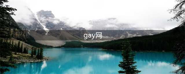 Gay dating app Blued bags investment from China state-run media(gay网)