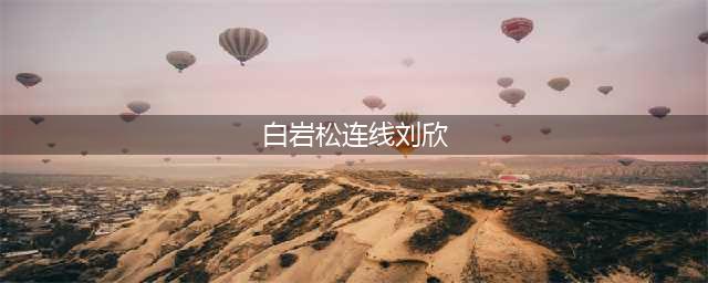 白岩松连线刘欣 她可以提问 但她选择不提问！(白岩松连线刘欣)