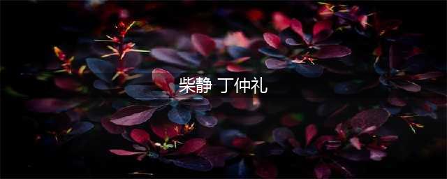 “公知女神”柴静：刁钻采访被丁院士怒怼：中国人是不是人？(柴静 丁仲礼)