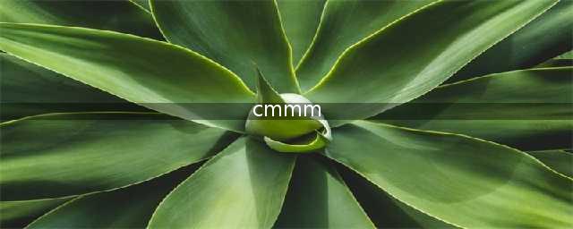 CMMM智能制造能力成熟度模型的全面介绍(cmmm)